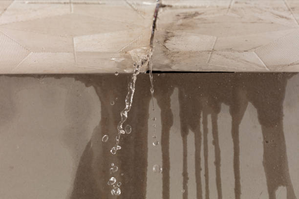 Professional Burst Pipe Cleanup technician working in Denmark, WI